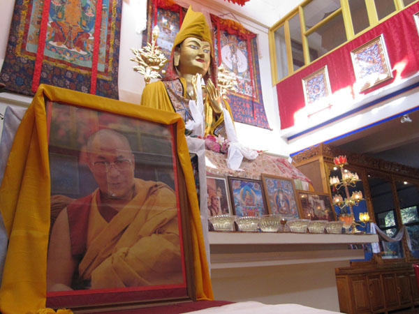 Learn Buddhism in Dharamsala, India