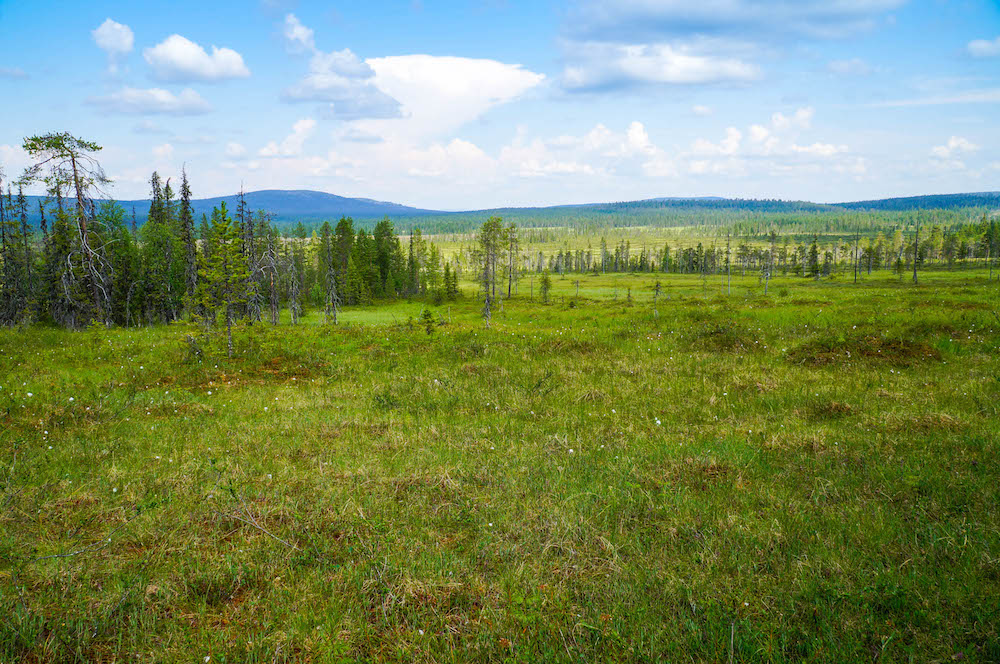 Landscapes of Tuntsa Wilderness Area in Lapland, Finland