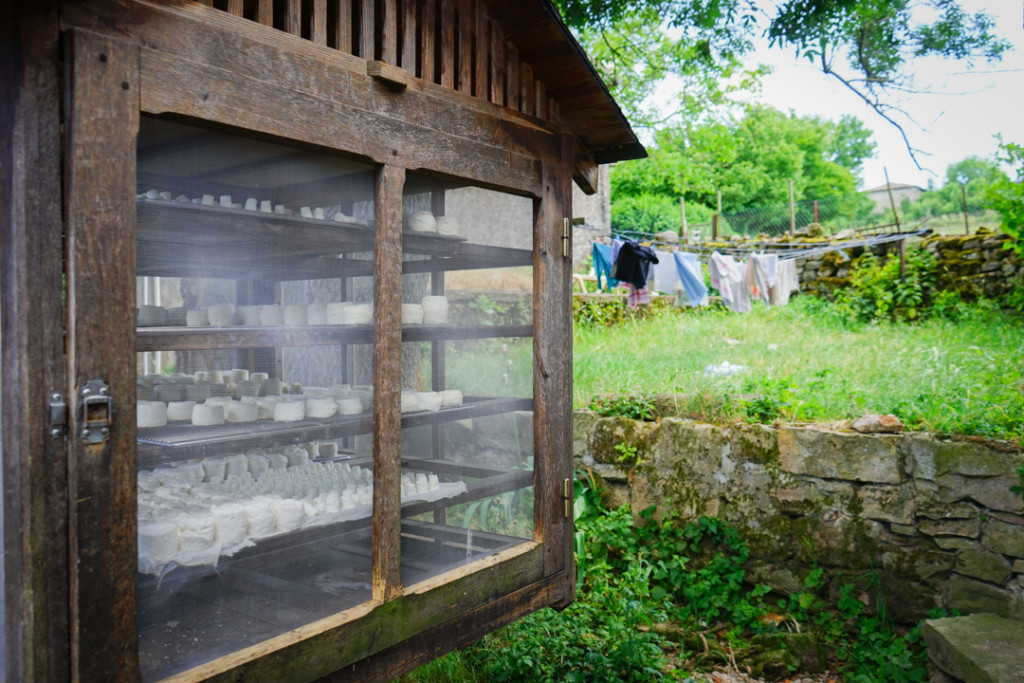 Goat Cheese Farm France