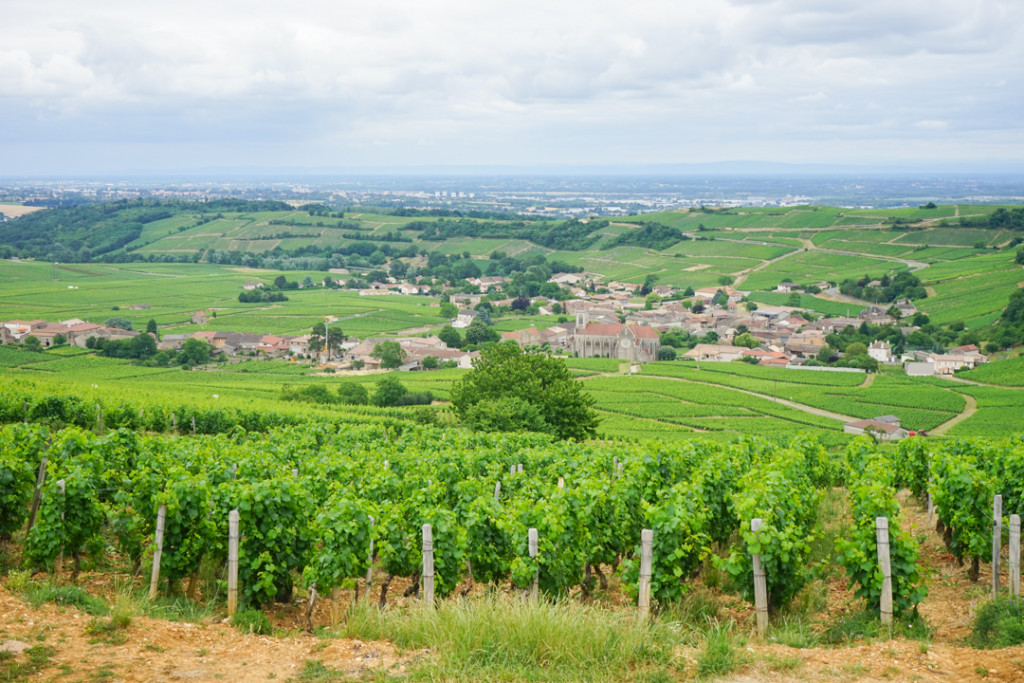 Landscapes of Burgundy_3
