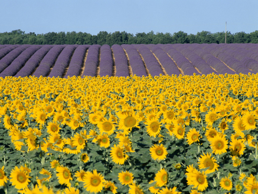 tourist attractions in france outside of paris