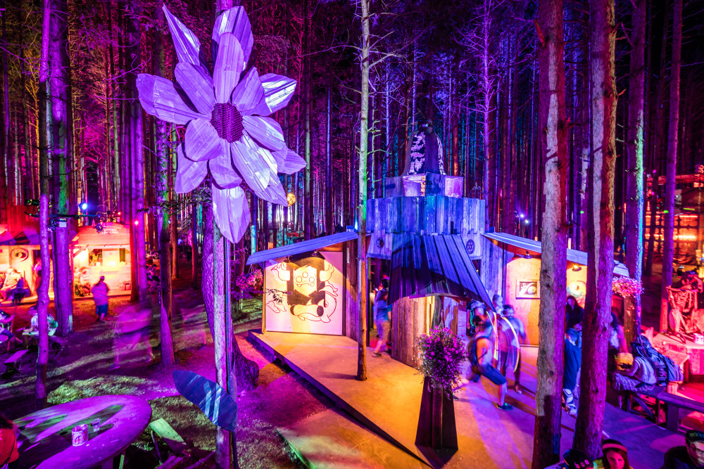 Electric Forest Nighttime