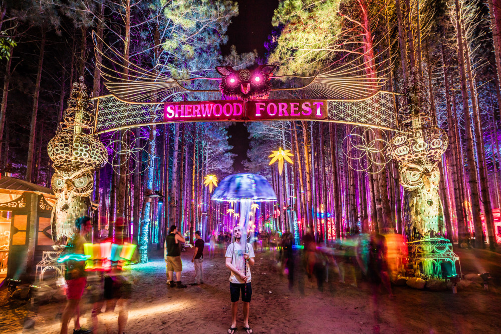 Electric Forest Nighttime