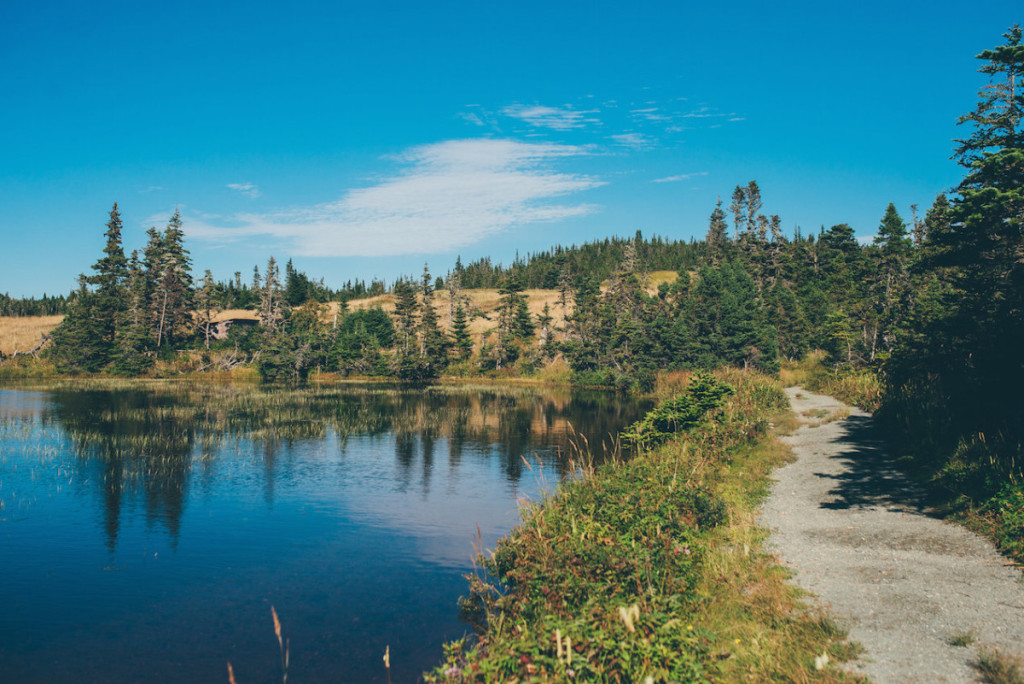 Newfoundland Road Trip_18