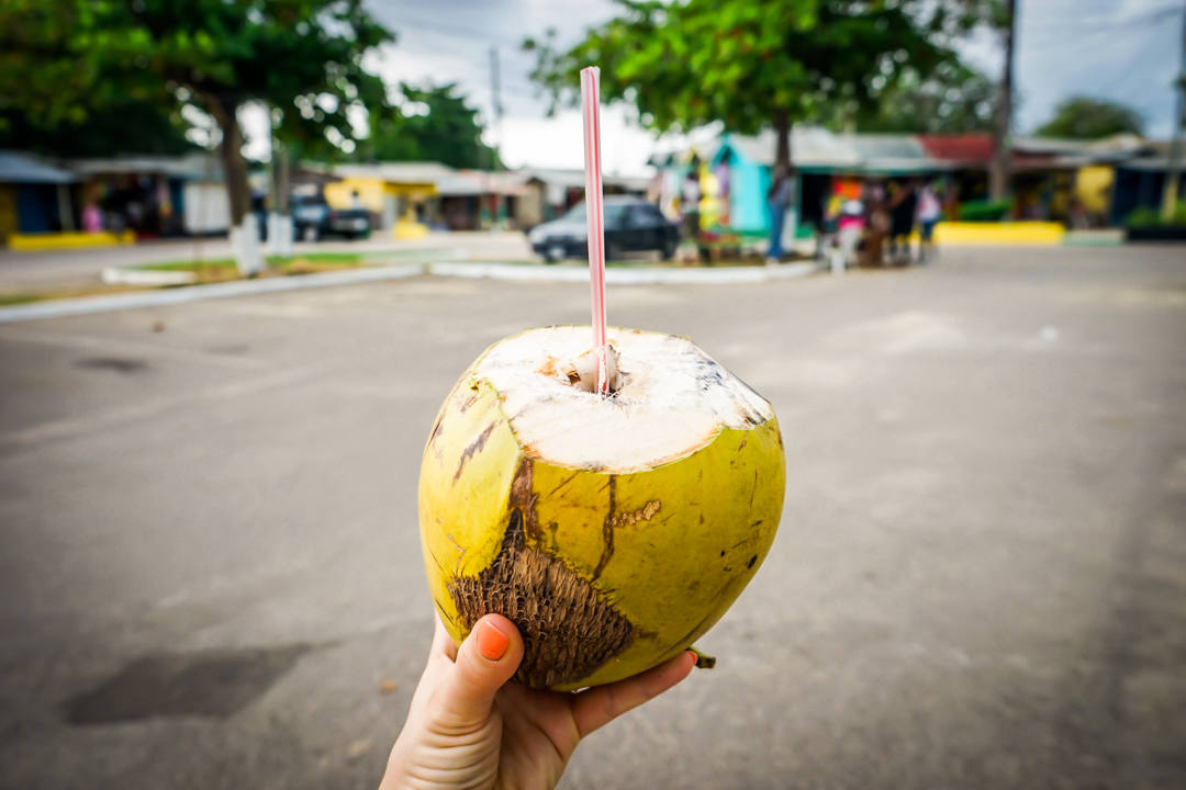 Jamaican Coconut