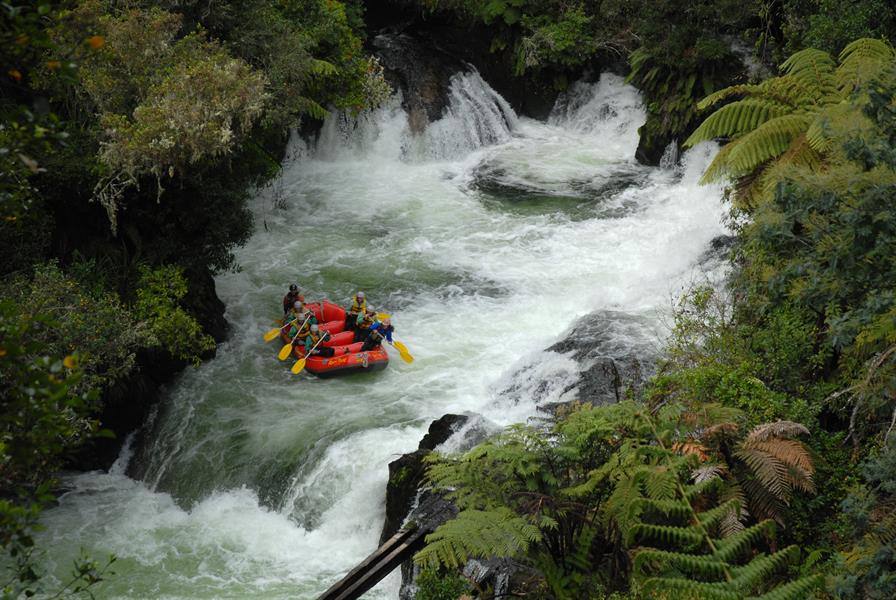 Kaituna River - NZ