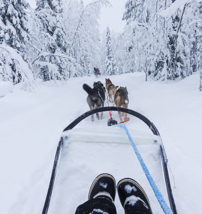 10 Awesome Winter Activities to Experience in Finland