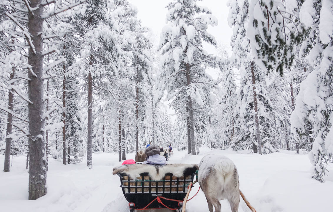 Reindeer Sleigh Ride_3