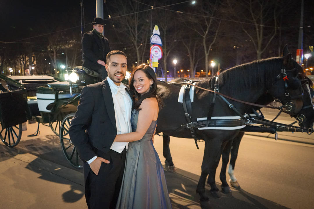 Vienna Horse and Carriage_