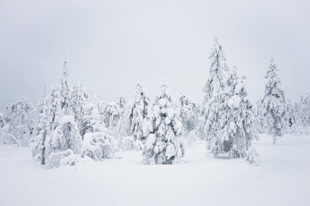 Winter wonderland Finland_2