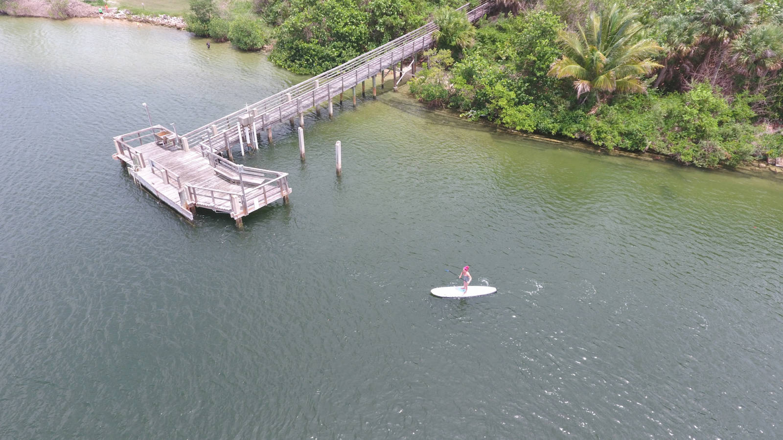 Stand Up Paddle Boarding in Florida
