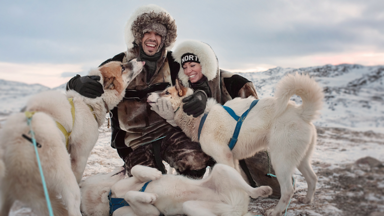 Dogsledding Ilulissat Greenland