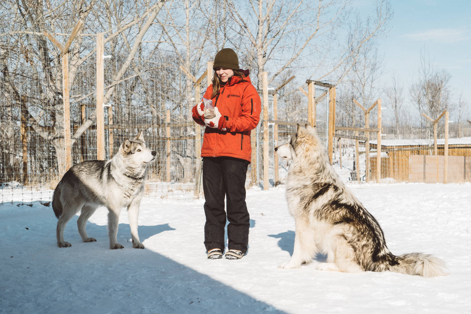 Yamnuksa Wolfdog Sanctuary