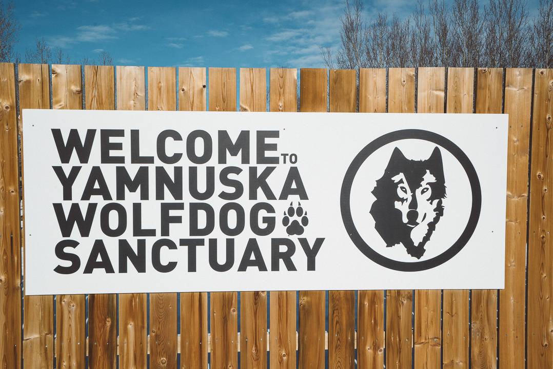 Yamnuksa Wolfdog Sanctuary_2