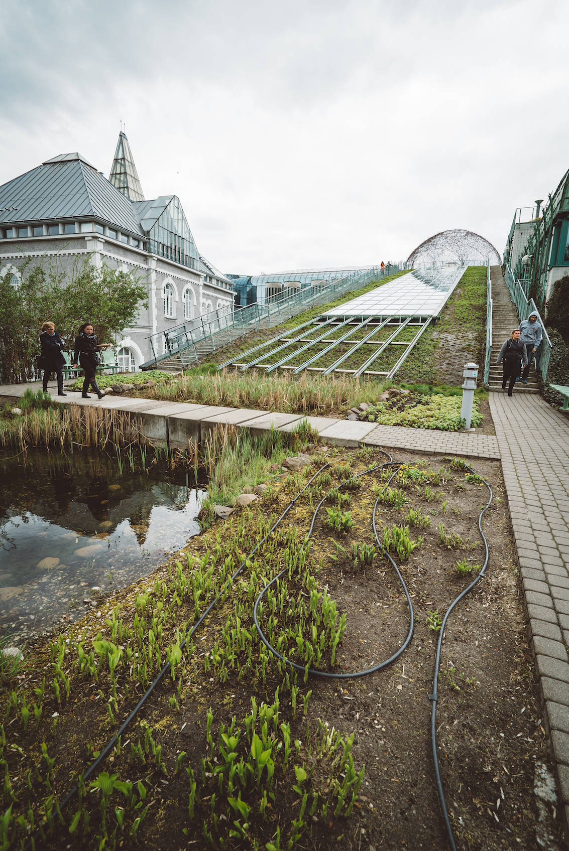 Roof Garden at Warsaw University Library