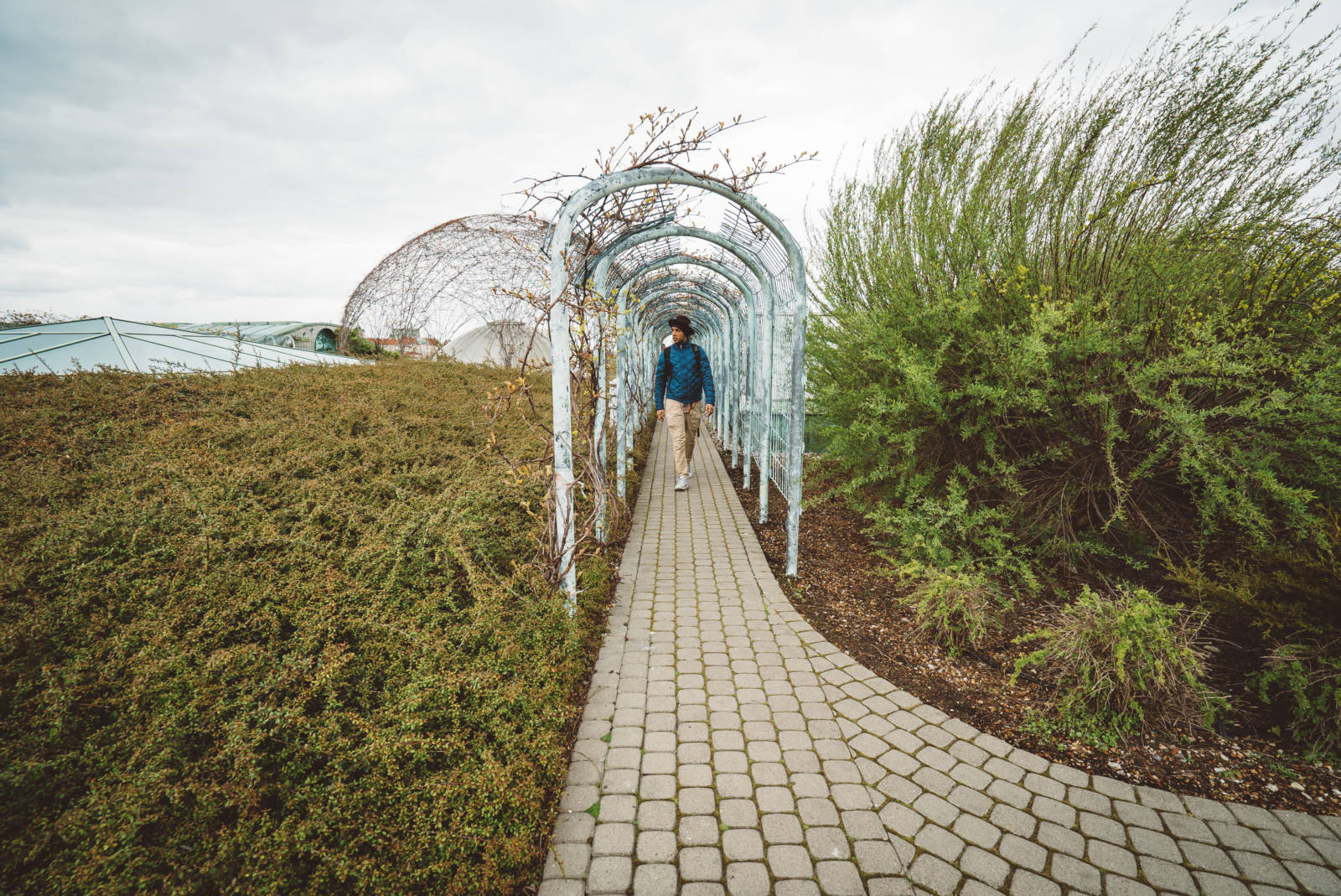 Roof Garden at Warsaw University Library_3