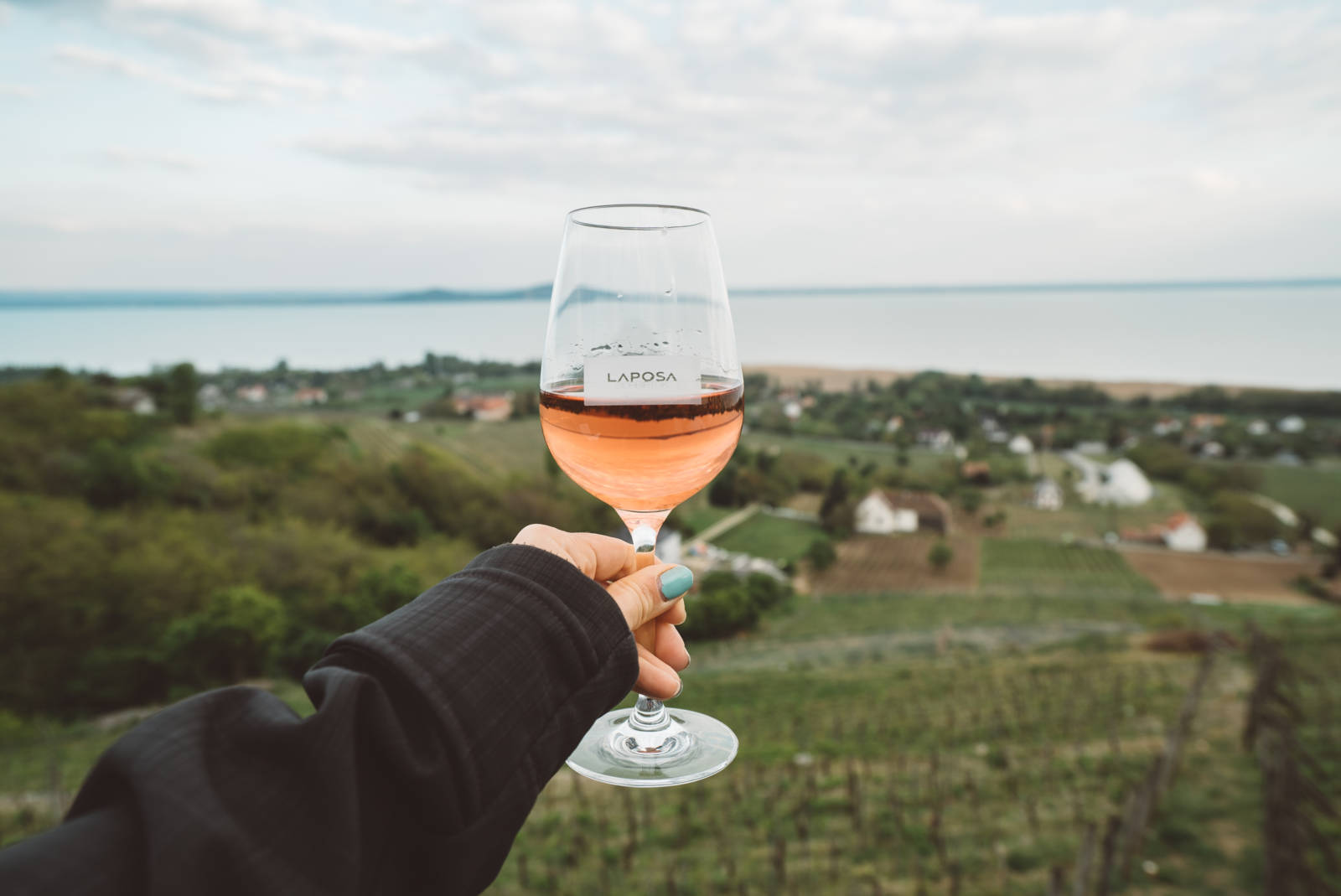 Laposa Vineyard Hungary