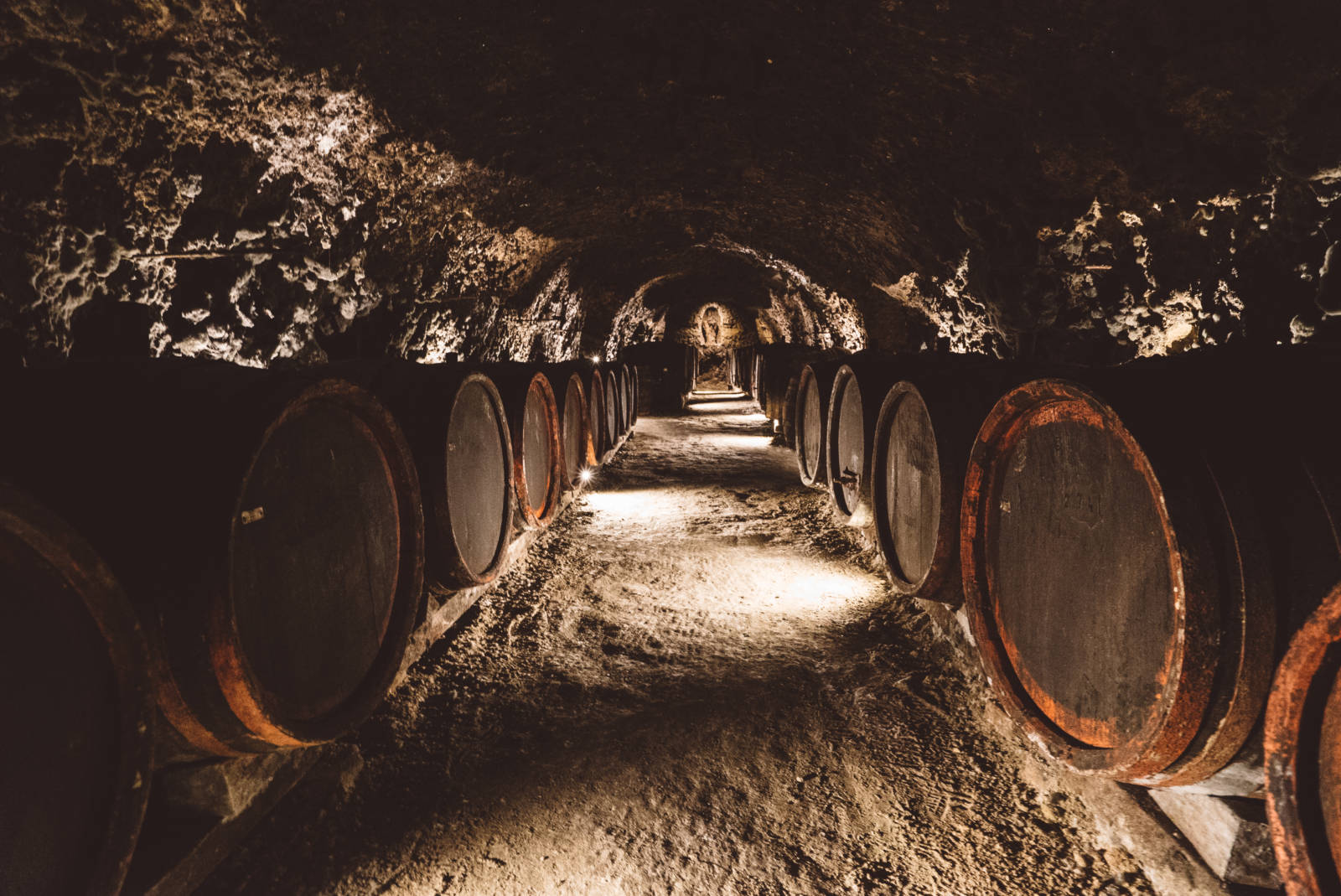 Medieval Wine Cellar