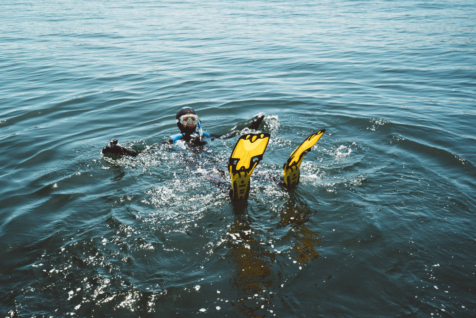 Snorkeling with seals in Nainamo_5