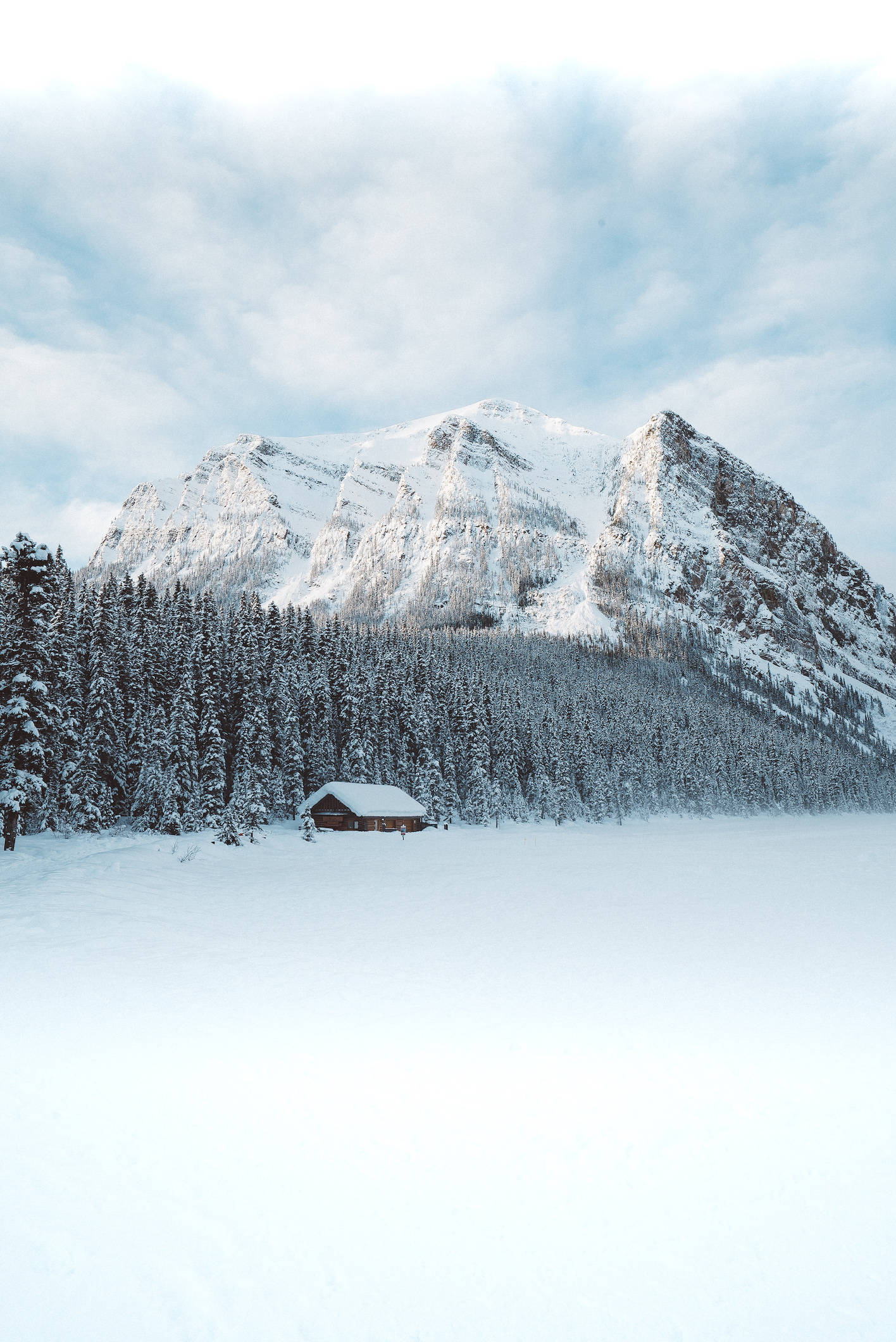 Why You Need to Visit Alberta This Winter