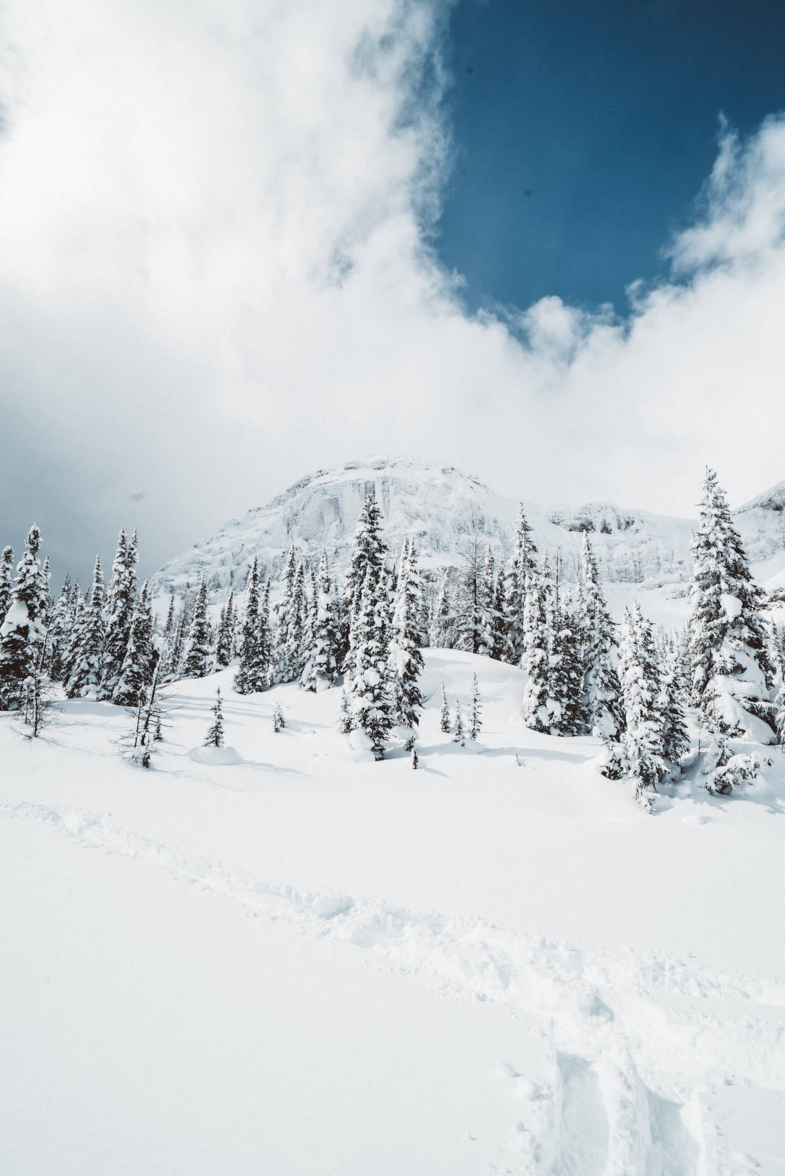 Why You Need to Travel to Alberta This Winter