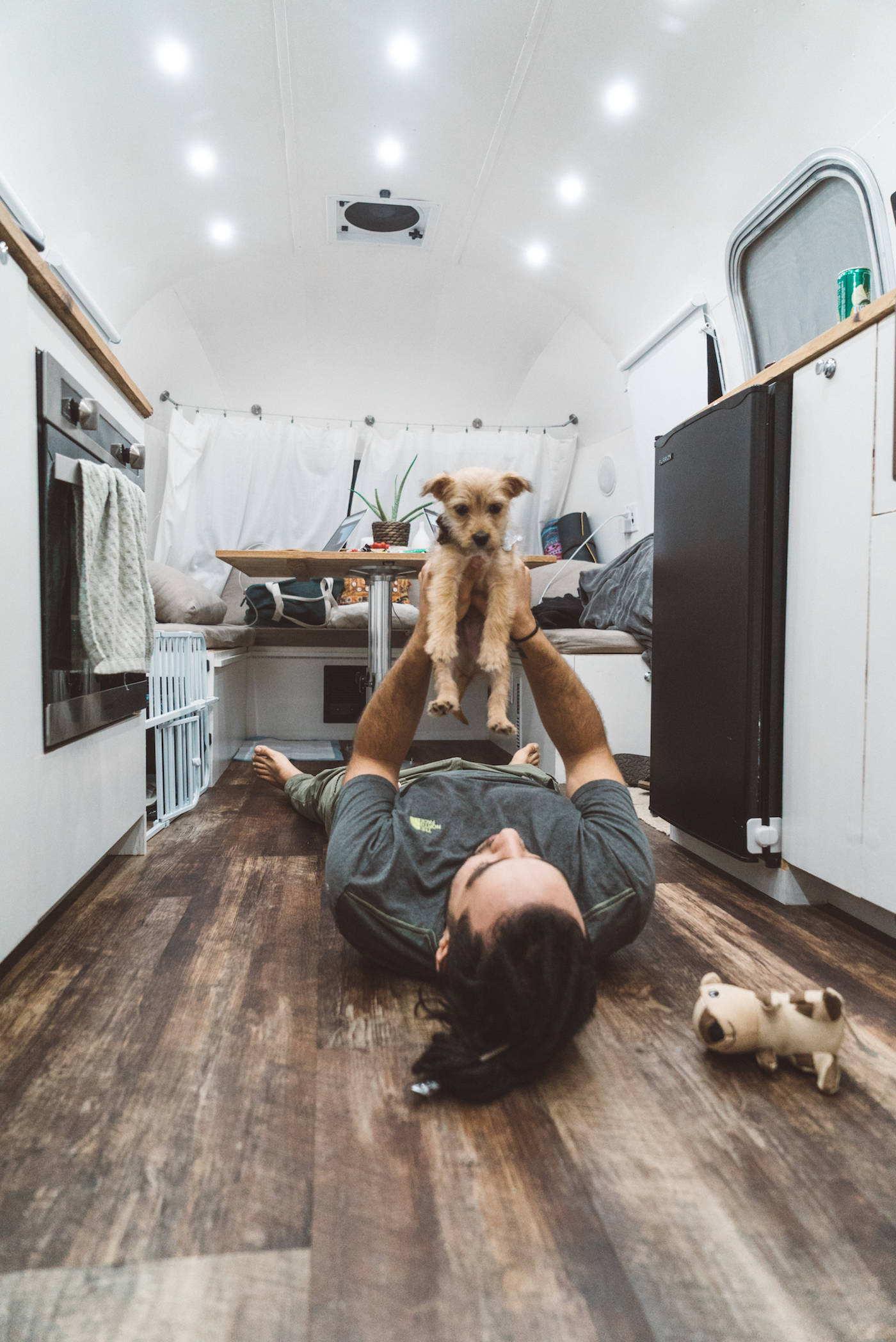 Living with a dog on the road in an RV copy