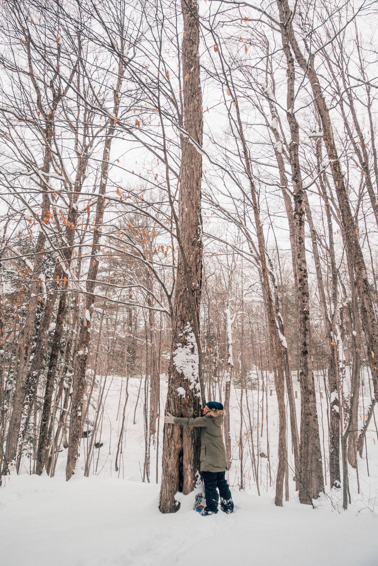 Escape City Life and Embrace Winter in Ontario’s Highlands