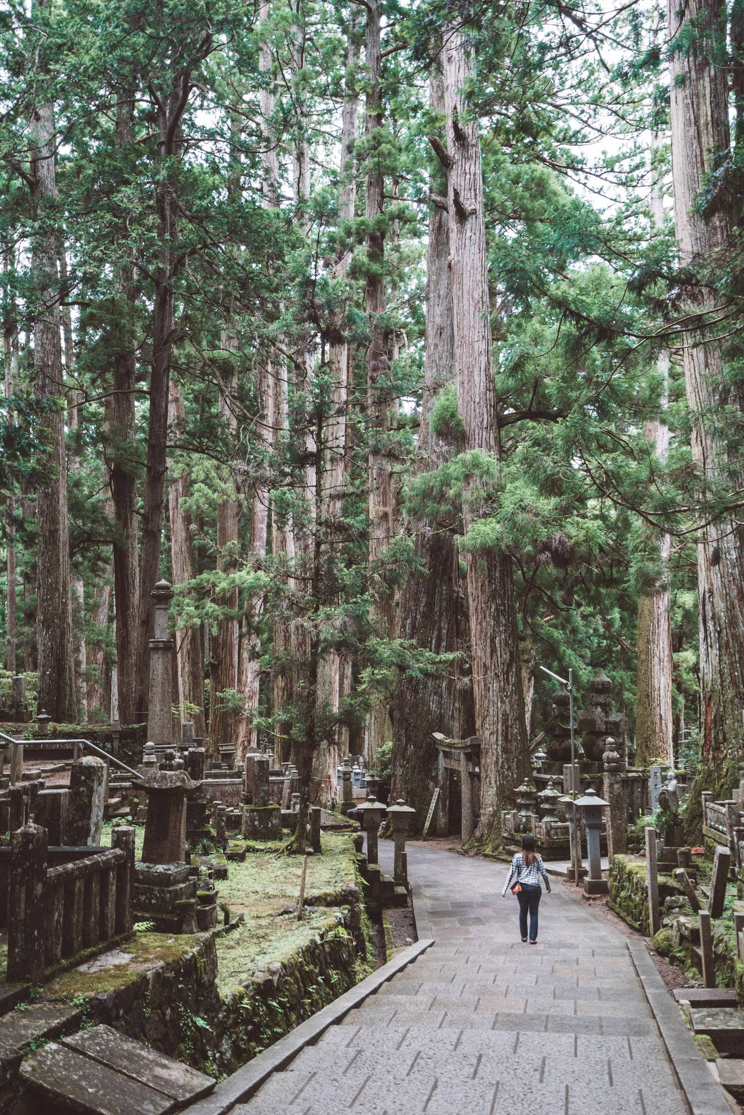 Japan Guide Okunoin Cemetery