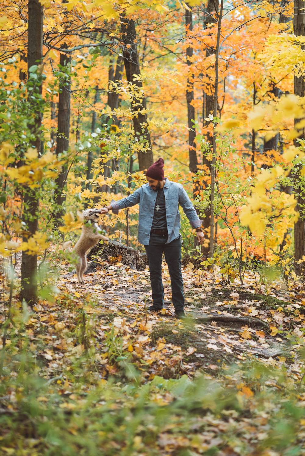 Autumn in Ontario Canada_12