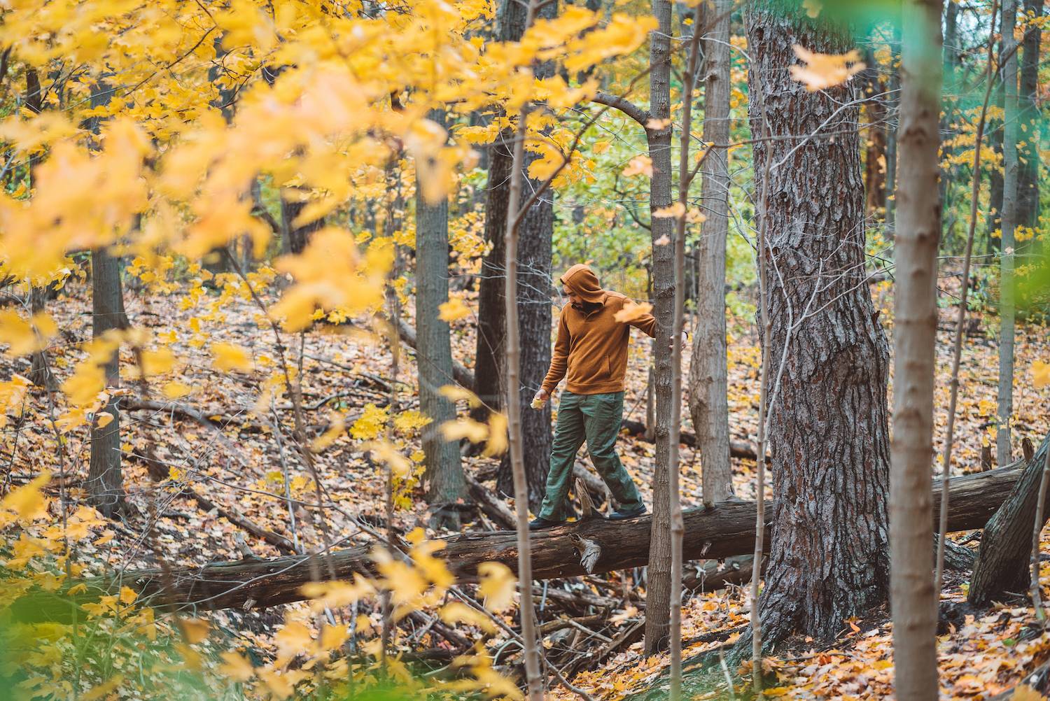 Autumn in Ontario Canada