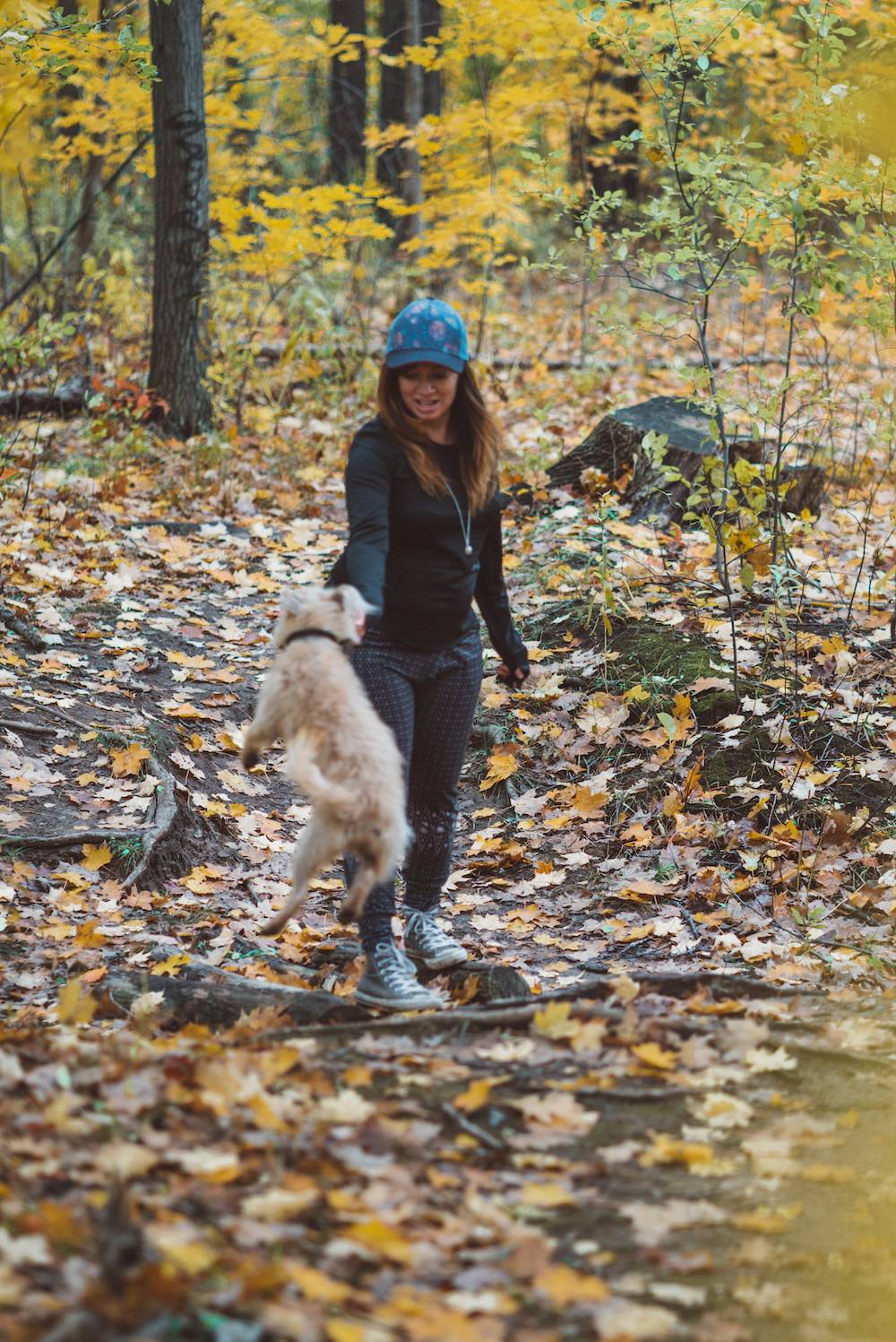 Autumn in Ontario Canada_5