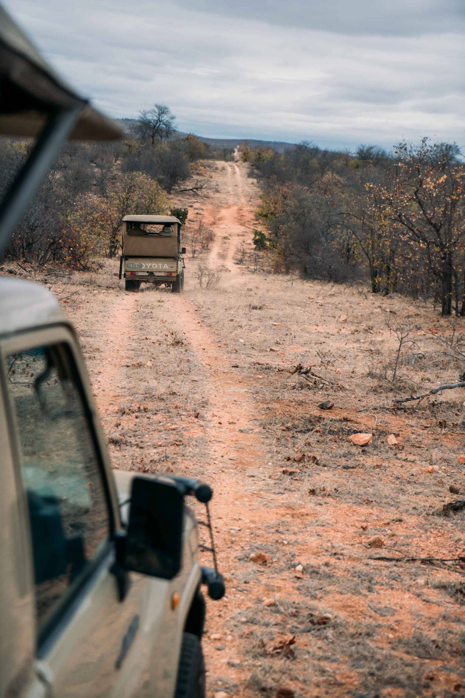 how to spot the big 5 in kruger national park