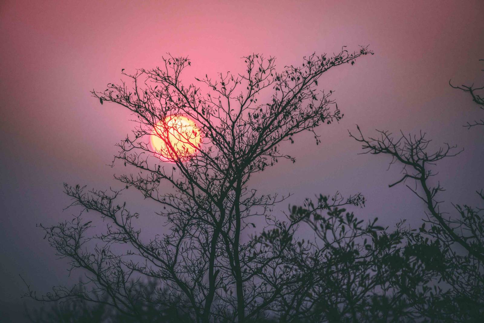 kruger national park sunset