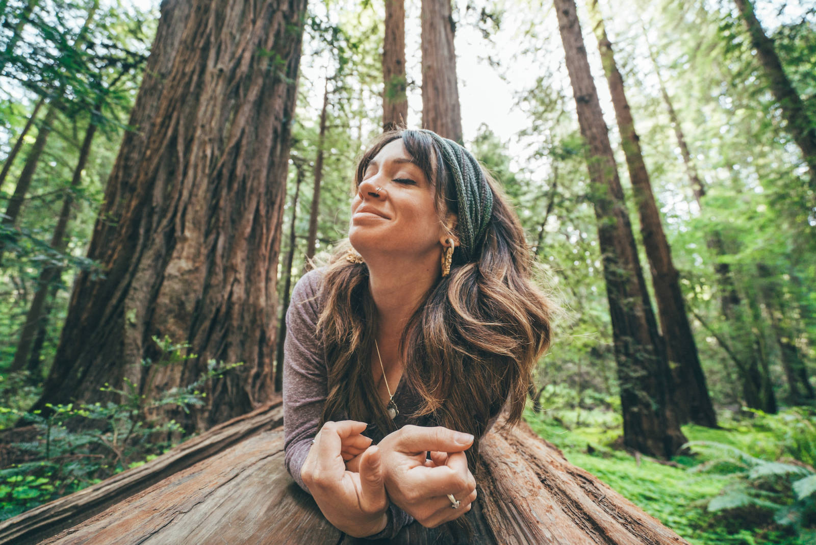 Muir Woods National Park in San Francisco