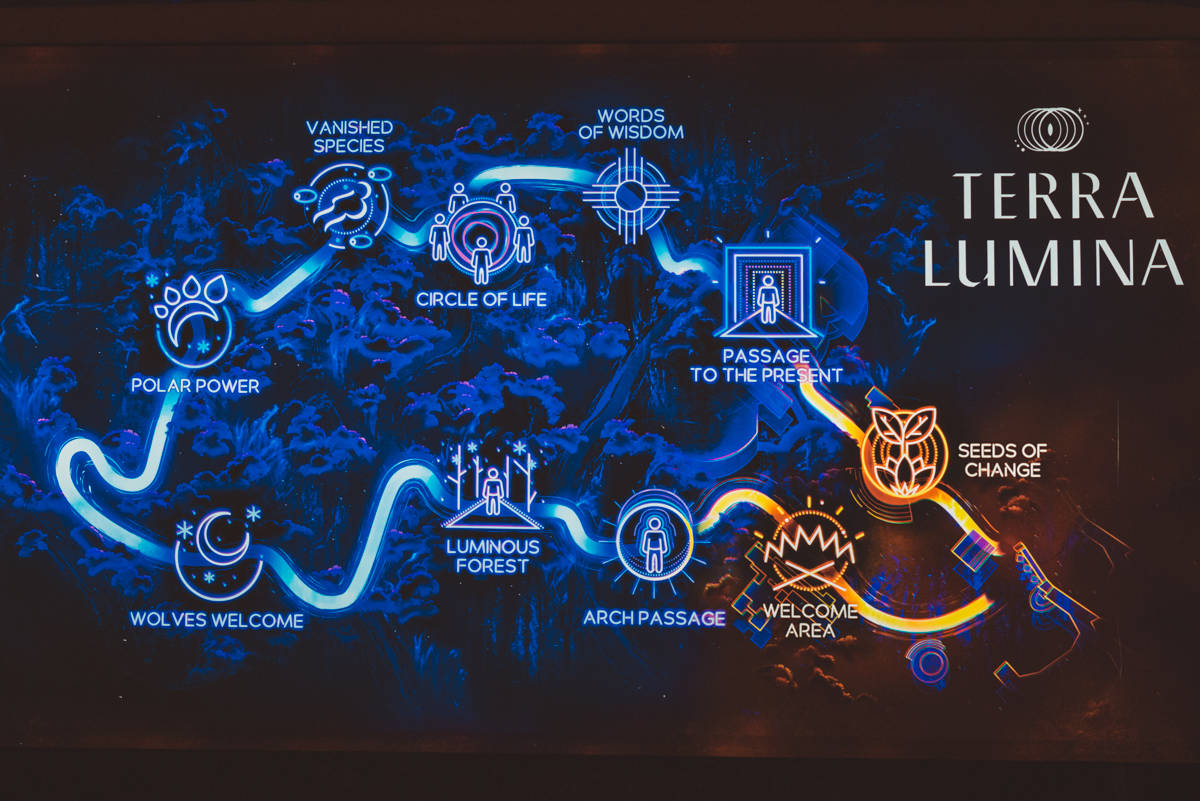 Terra Lumina Night Walk Experience at the Toronto Zoo