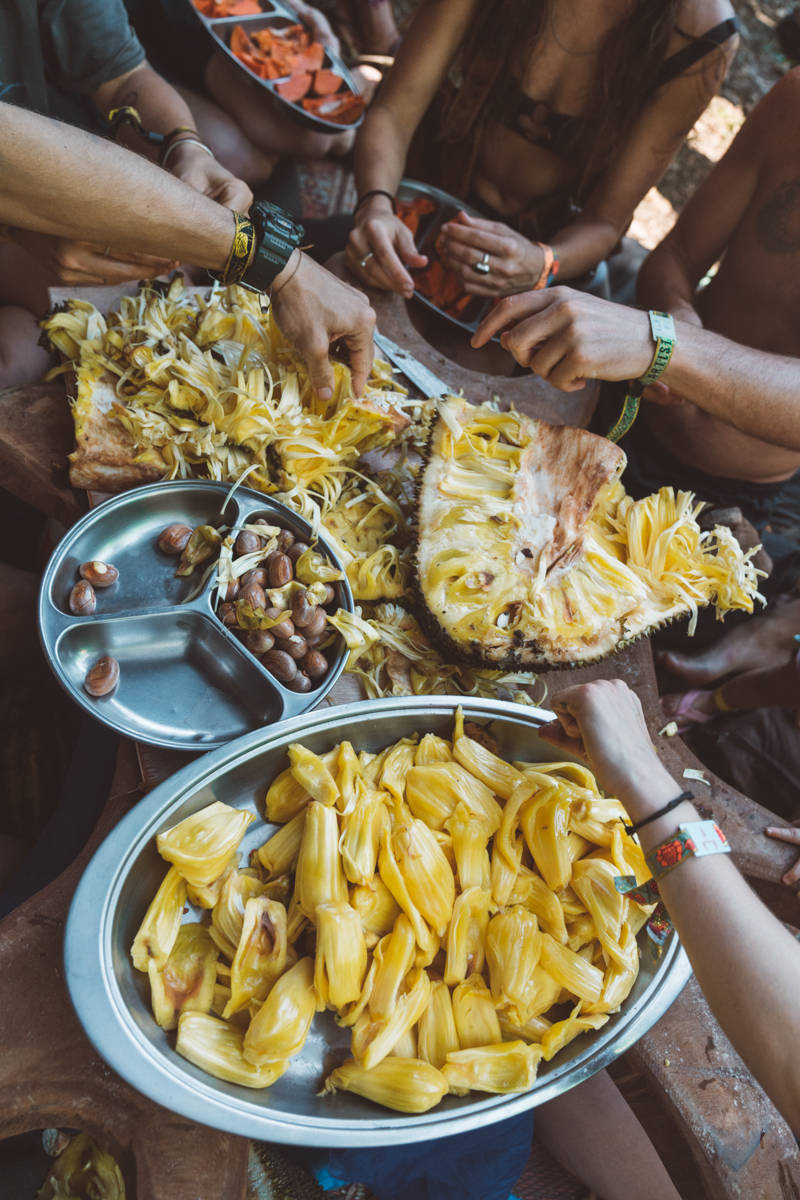 Costa Rica Jackfruit