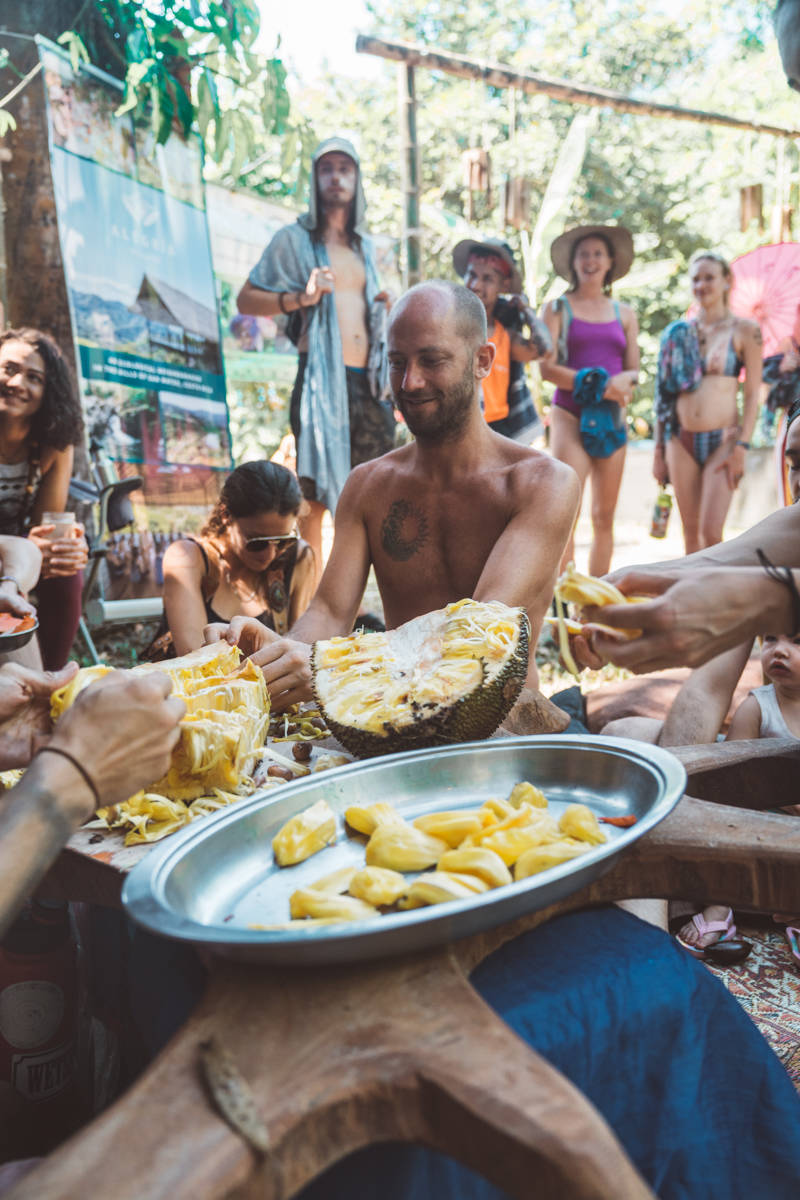 Costa Rica Jackfruit