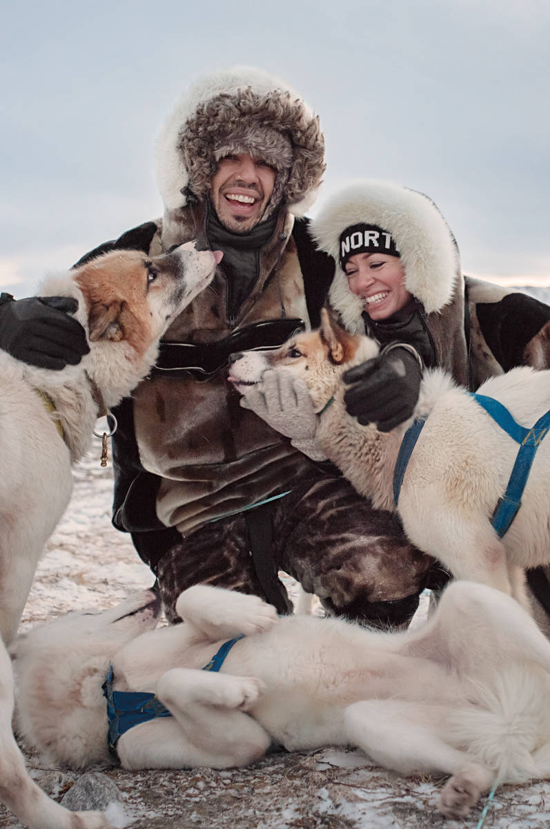 greenland dogsledding