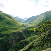 ecuador-tour ecuador-tour