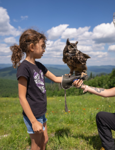 Tremblant Summer Travel Guide for Families