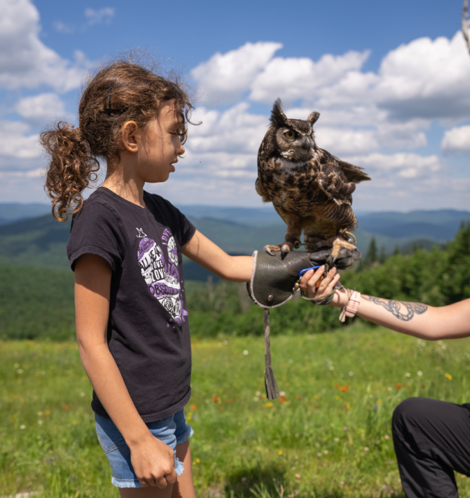Tremblant Summer Travel Guide for Families